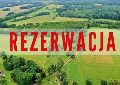 działka na sprzedaż - Górowo Iławeckie (gw), Piaseczno